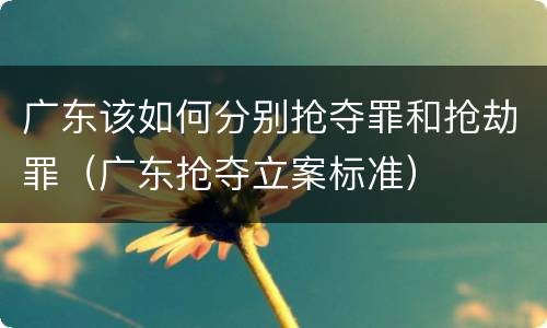 广东该如何分别抢夺罪和抢劫罪（广东抢夺立案标准）