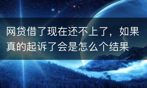 网贷借了现在还不上了，如果真的起诉了会是怎么个结果