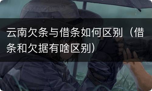 云南欠条与借条如何区别（借条和欠据有啥区别）