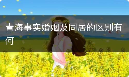 青海事实婚姻及同居的区别有何