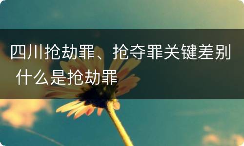 四川抢劫罪、抢夺罪关键差别 什么是抢劫罪