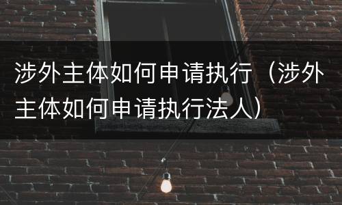 涉外主体如何申请执行（涉外主体如何申请执行法人）