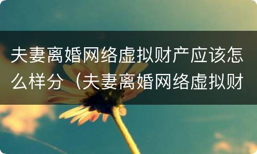 夫妻离婚网络虚拟财产应该怎么样分（夫妻离婚网络虚拟财产应该怎么样分割）