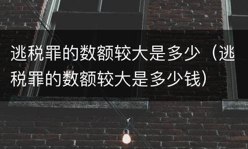 逃税罪的数额较大是多少（逃税罪的数额较大是多少钱）