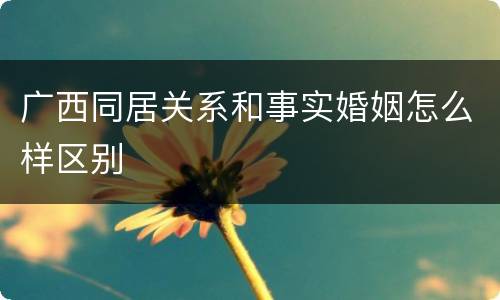 广西同居关系和事实婚姻怎么样区别