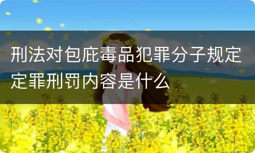 刑法对包庇毒品犯罪分子规定定罪刑罚内容是什么