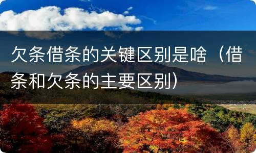 欠条借条的关键区别是啥（借条和欠条的主要区别）