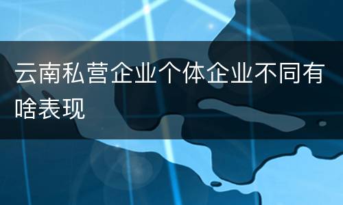 云南私营企业个体企业不同有啥表现