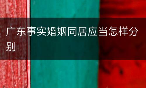 广东事实婚姻同居应当怎样分别