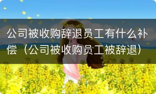 公司被收购辞退员工有什么补偿（公司被收购员工被辞退）