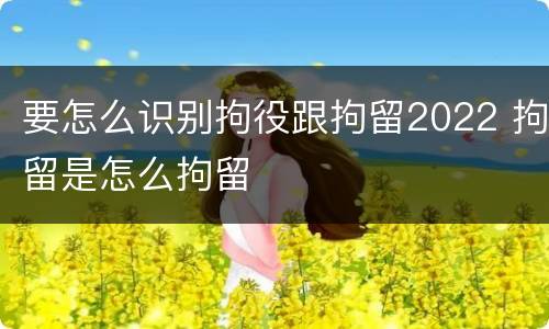 要怎么识别拘役跟拘留2022 拘留是怎么拘留