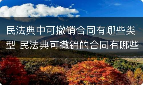 民法典中可撤销合同有哪些类型 民法典可撤销的合同有哪些情形