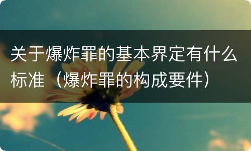关于爆炸罪的基本界定有什么标准（爆炸罪的构成要件）