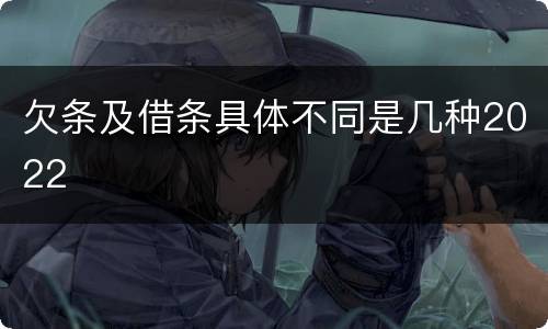 欠条及借条具体不同是几种2022