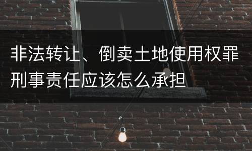 非法转让、倒卖土地使用权罪刑事责任应该怎么承担