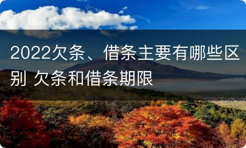 2022欠条、借条主要有哪些区别 欠条和借条期限