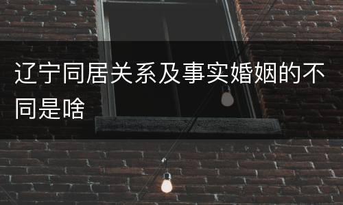 辽宁同居关系及事实婚姻的不同是啥