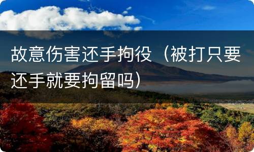 故意伤害还手拘役(被打只要还手就要拘留吗)