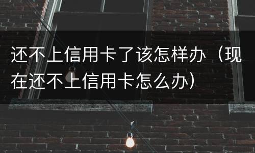 还不上信用卡了该怎样办（现在还不上信用卡怎么办）