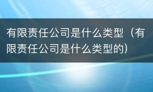 有限责任公司是什么类型（有限责任公司是什么类型的）