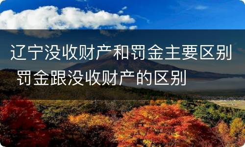 辽宁没收财产和罚金主要区别 罚金跟没收财产的区别