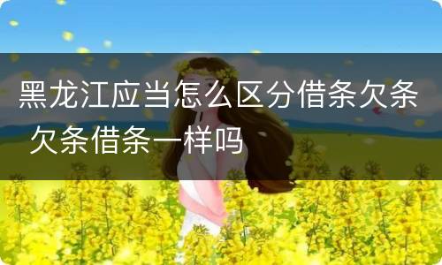 黑龙江应当怎么区分借条欠条 欠条借条一样吗