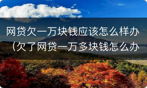 网贷欠一万块钱应该怎么样办（欠了网贷一万多块钱怎么办）