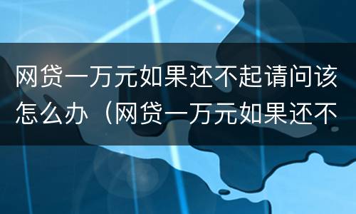 网贷一万元如果还不起请问该怎么办（网贷一万元如果还不起请问该怎么办呢）