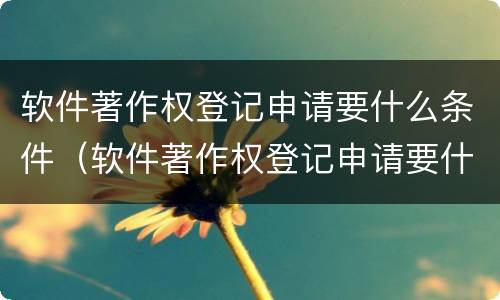 软件著作权登记申请要什么条件（软件著作权登记申请要什么条件才能申请）
