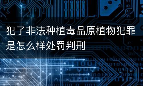 犯了非法种植毒品原植物犯罪是怎么样处罚判刑