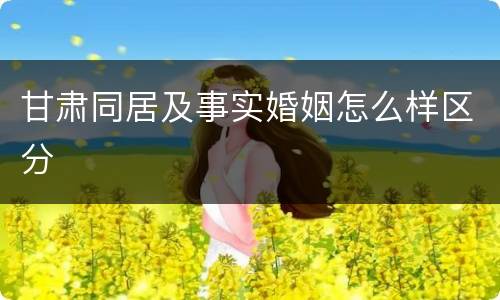 甘肃同居及事实婚姻怎么样区分