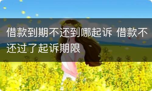 借款到期不还到哪起诉 借款不还过了起诉期限