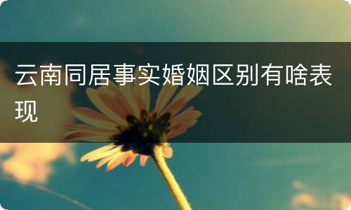 云南同居事实婚姻区别有啥表现