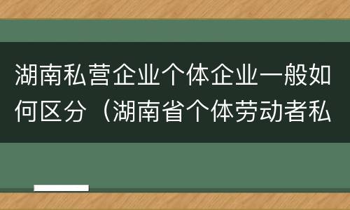 湖南私营企业个体企业一般如何区分（湖南省个体劳动者私营企业协会）