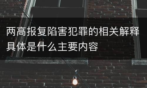两高报复陷害犯罪的相关解释具体是什么主要内容