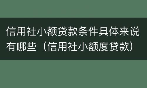 信用社小额贷款条件具体来说有哪些（信用社小额度贷款）