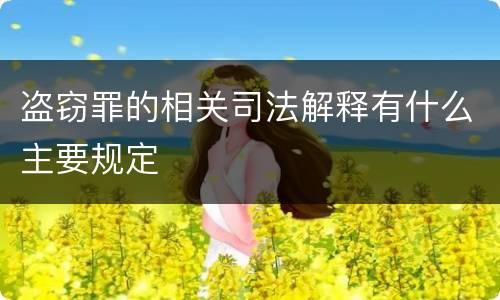盗窃罪的相关司法解释有什么主要规定