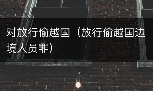 对放行偷越国（放行偷越国边境人员罪）
