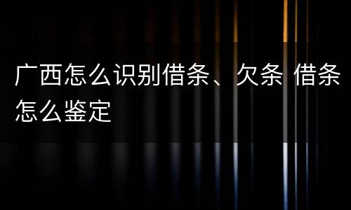 广西怎么识别借条、欠条 借条怎么鉴定
