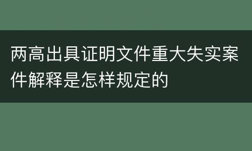 两高出具证明文件重大失实案件解释是怎样规定的