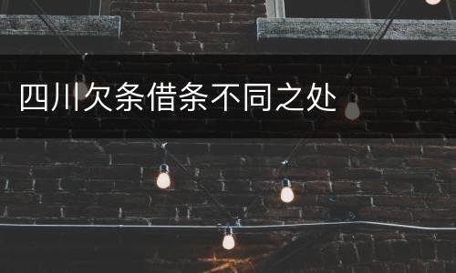 四川欠条借条不同之处