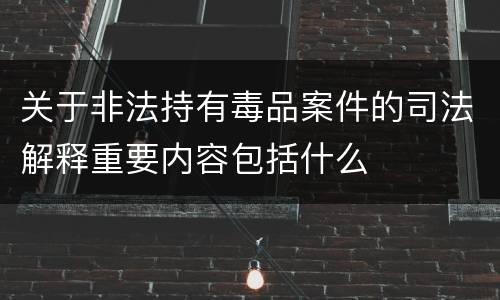 关于非法持有毒品案件的司法解释重要内容包括什么