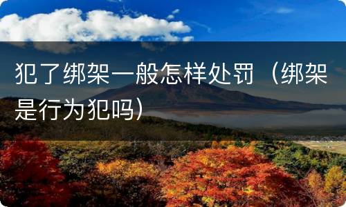 犯了绑架一般怎样处罚（绑架是行为犯吗）