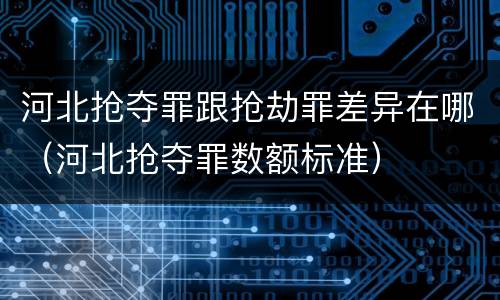 河北抢夺罪跟抢劫罪差异在哪（河北抢夺罪数额标准）