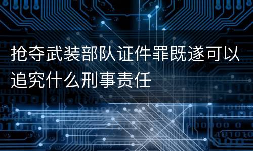 抢夺武装部队证件罪既遂可以追究什么刑事责任