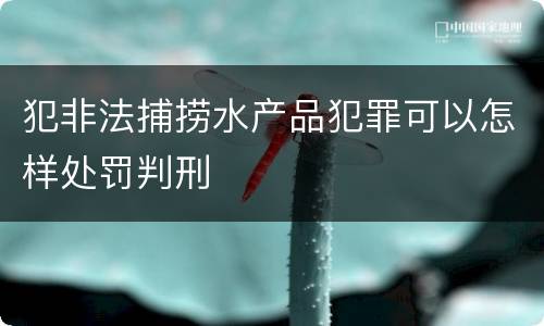 犯非法捕捞水产品犯罪可以怎样处罚判刑
