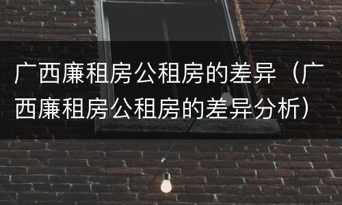 广西廉租房公租房的差异（广西廉租房公租房的差异分析）