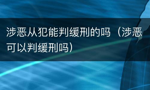 涉恶从犯能判缓刑的吗（涉恶可以判缓刑吗）