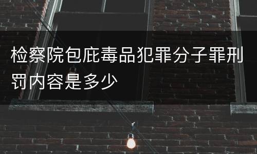 检察院包庇毒品犯罪分子罪刑罚内容是多少