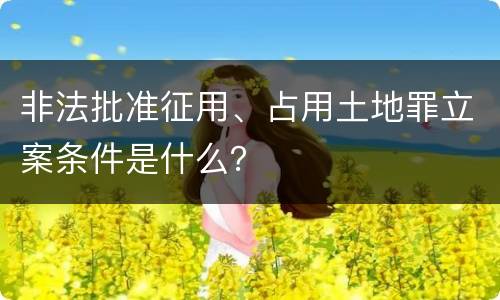 非法批准征用、占用土地罪立案条件是什么？